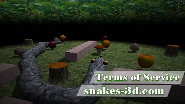 Terms of Service Snakes-3d.com